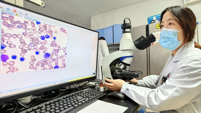 AI diagnosis boosts accuracy in clinical blood cell testing